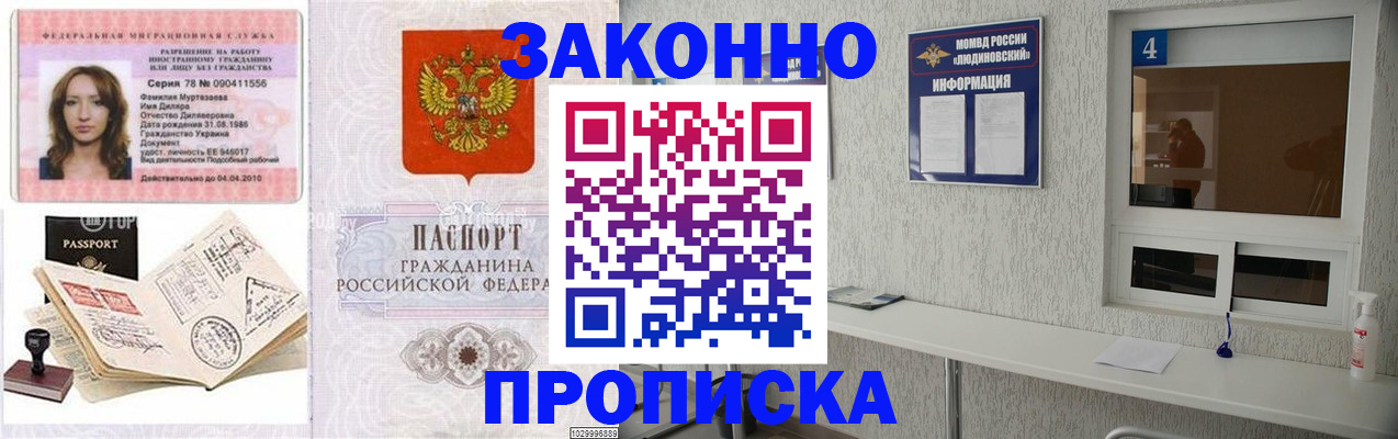 прописка в квартире в Купино
